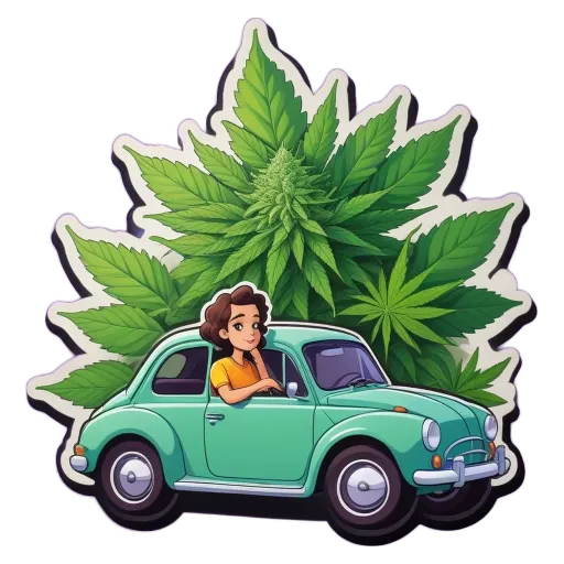 A green volkswagen car with a woman driving it is sticker is on a black background.