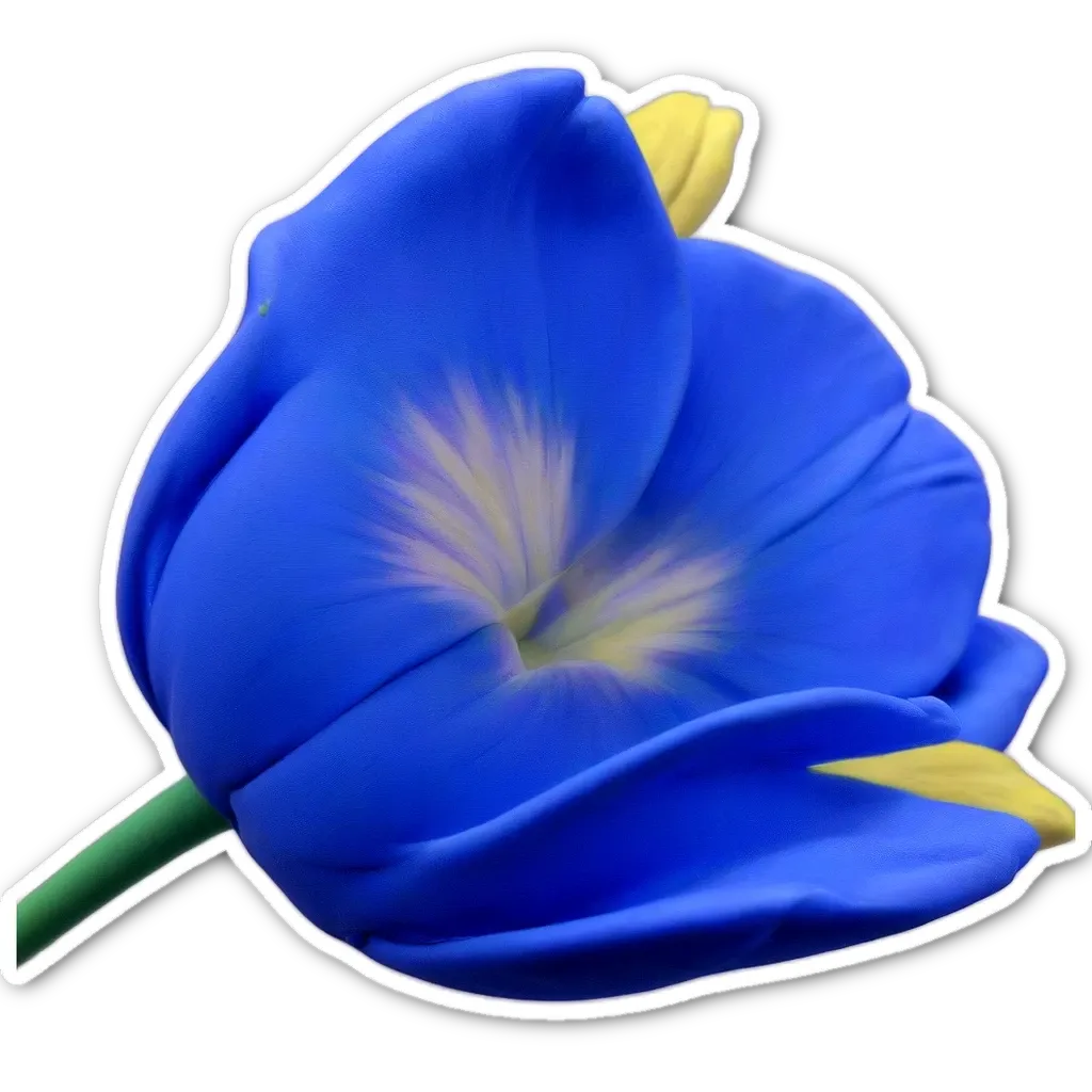 A blue and yellow flower with a black background.