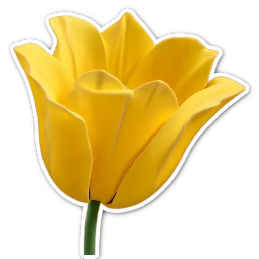 A yellow flower with a green stem is in the center of a black and white background.