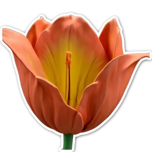 An orange and yellow flower with a green stem.