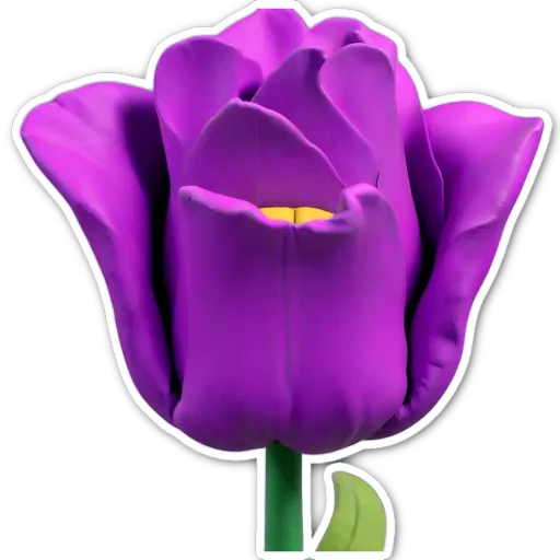 A purple flower with a green stem in the middle of a black background.