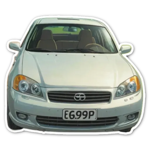A white car with a license plate that reads 'E6699P'.