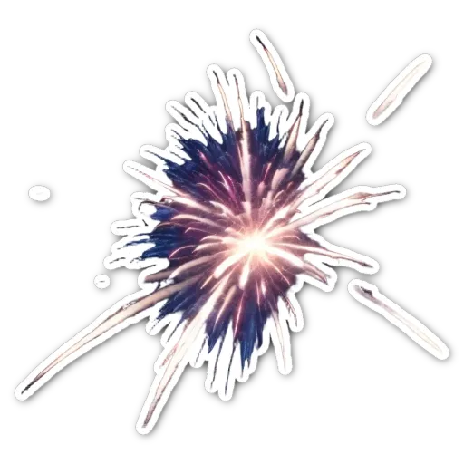 A very brief description of a fireworks display.