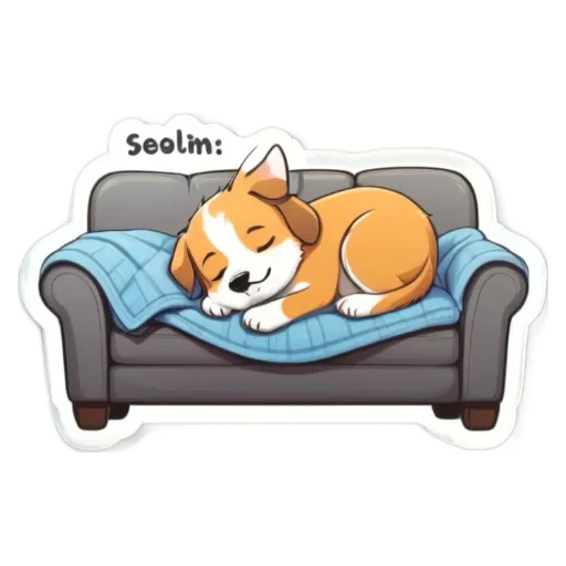 A cartoon dog sleeping on a couch with the word Seelim written on the blanket.