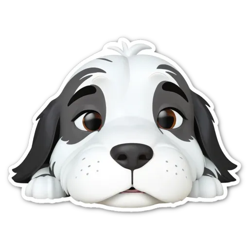A black and white dog with a sticker of the dog looking at the camera.