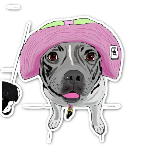 A dog with a hat on its head is looking at the camera.