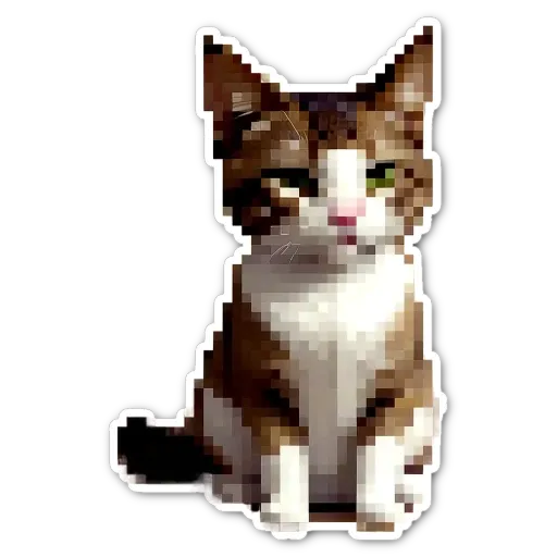 A cat is sitting on a black background.