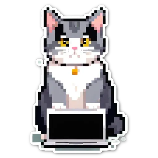 A cat sitting on a laptop with a black and white face.