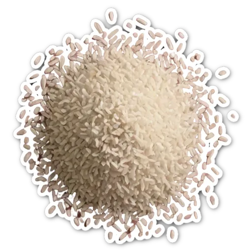 A bunch of rice on a plate with nothing else around it.