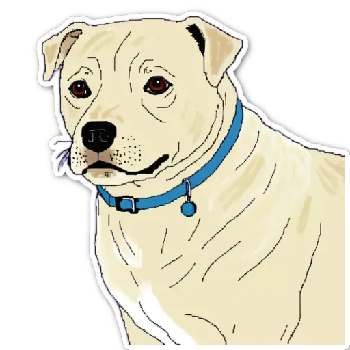 A sticker of a dog with a blue collar.