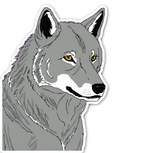 A grey wolf with yellow eyes is staring at the camera.