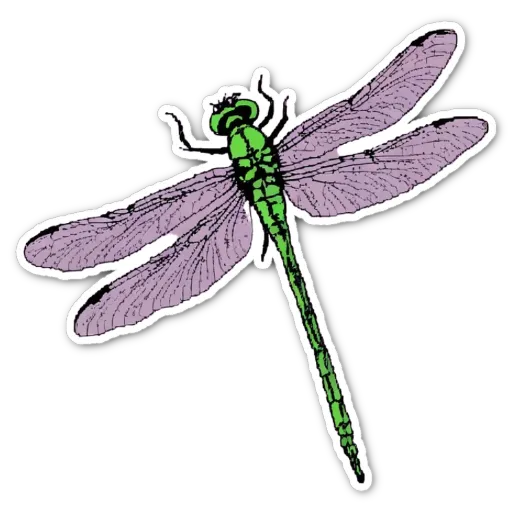 A sticker of a dragonfly with green and purple wings.