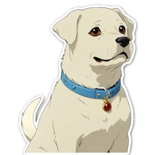A dog with a blue collar and a red tag.
