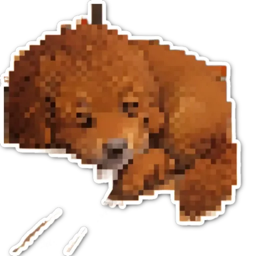 A dog with pixelated photo is laying down.